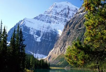 90分和即时比分滚球二合一有何区别与特点？